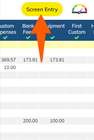 Screen Entry Screen Entry